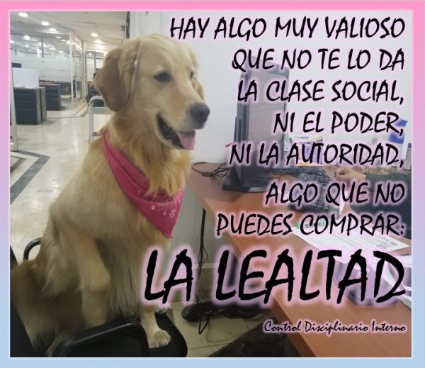 Sensibilización Valor LEALTAD